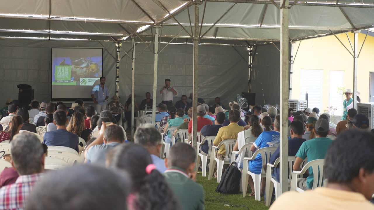 Rolim de Moura recebe o primeiro Dia de Campo do Senar Rondônia para fortalecimento da apicultura