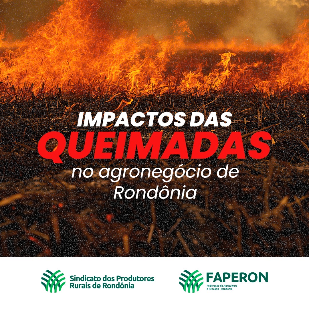 Sistema FAPERON e Sindicatos de Produtores Rurais de Rondônia destacam os impactos e prejuízos devastadores das queimadas na produção agropecuária do Estado