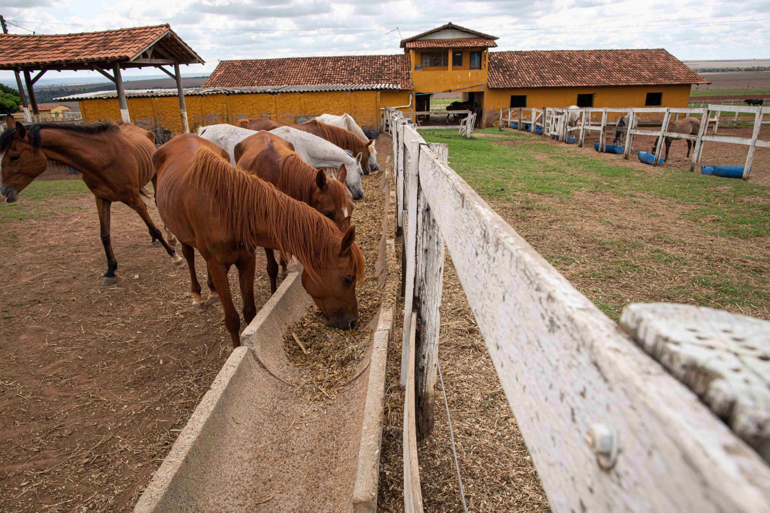 Sistema Faperon destaca os benefícios da nova Lei Geral do Turismo para produtores rurais e o setor agropecuário